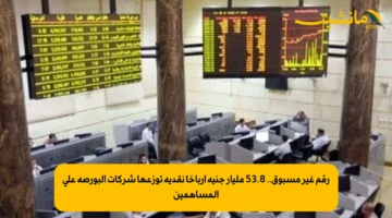 رقم غير مسبوق.. 53.8 مليار جنيه أرباحًا نقدية توزعها شركات البورصة على المساهمين